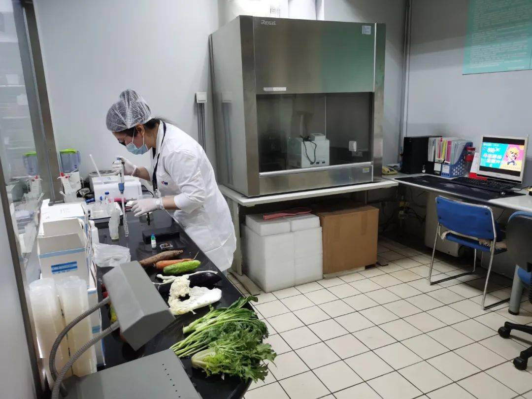 湘潭食品检测实验室装修方案